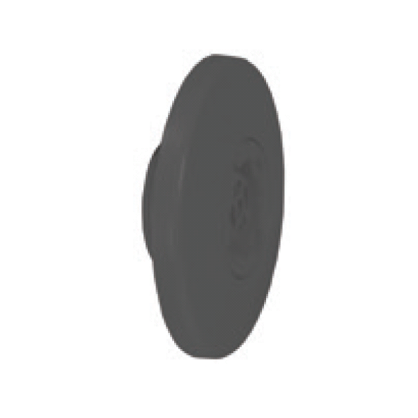 abs tagasivool restiga antratsiit