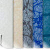 ELBE Supra, patterned pool membranes